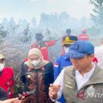 Menhut : karhutla di Taman Nasional Way Kambas sudah padam