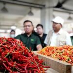 Bapanas-Kementan fasilitasi distribusi cabai demi stabilkan harga