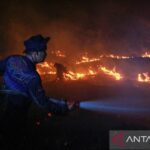 BNPB minta warga cek ISPU karhutla di Kalimantan dan Sumatera
